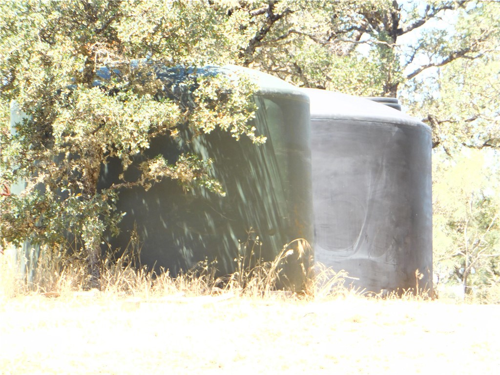 997 Watertrough Road Clearlake Oaks, CA 95423 - Photo 3 of 20 a close up of a tree in a yard