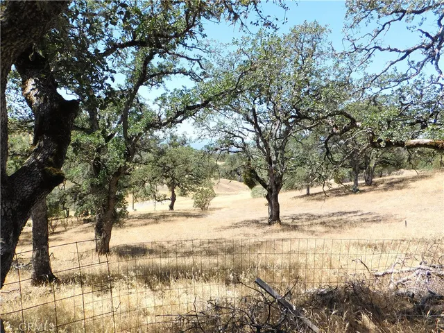a view of open space with yard