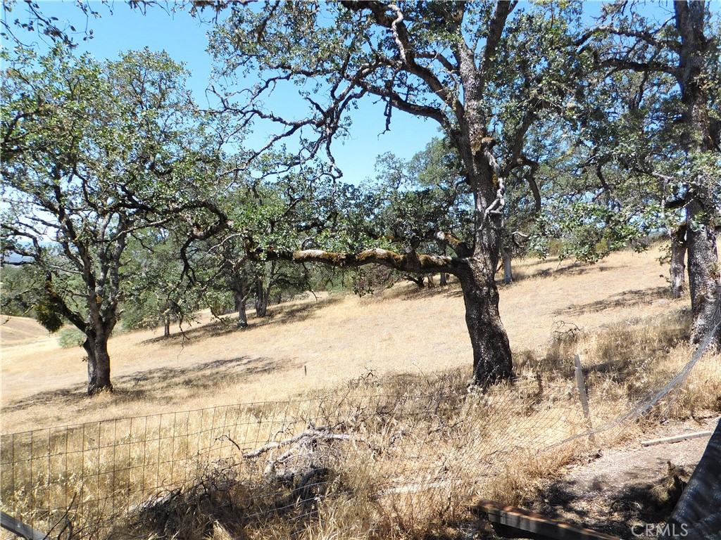 997 Watertrough Road Clearlake Oaks, CA 95423 - Photo 8 of 20 a view of a large tree in the middle of a yard