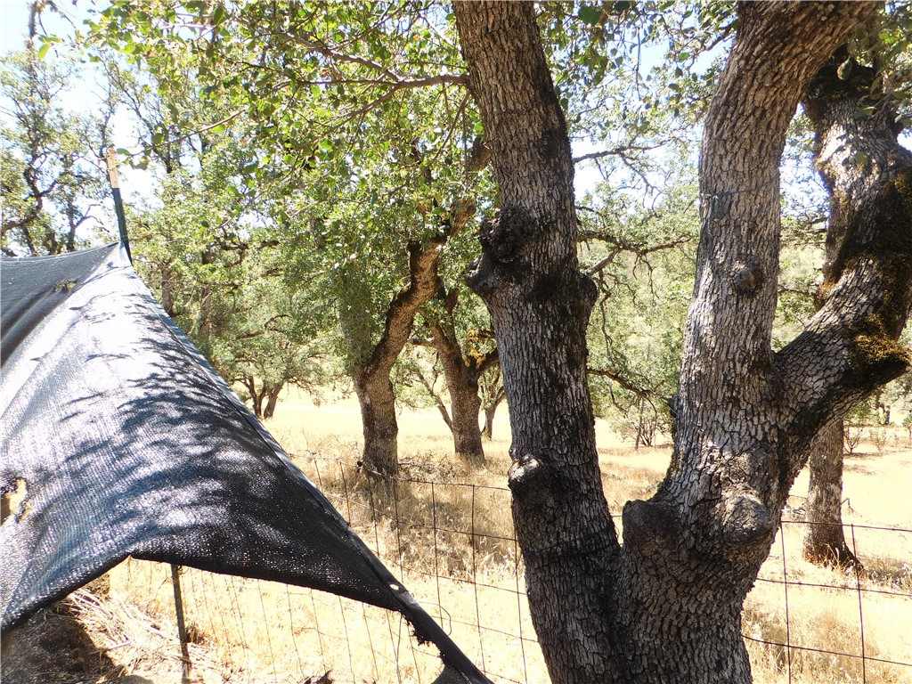997 Watertrough Road Clearlake Oaks, CA 95423 - Photo 9 of 20 a view of outdoor space and garden