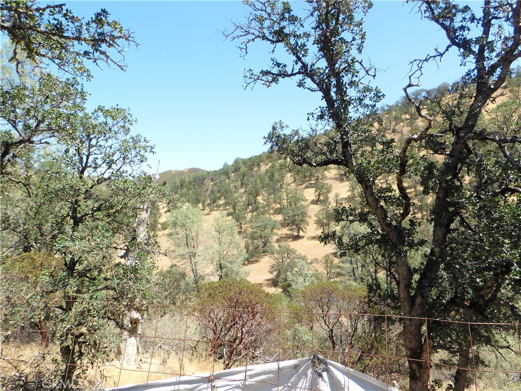 997 Watertrough Road Clearlake Oaks, CA 95423 - Photo 10 of 20 a view of forest