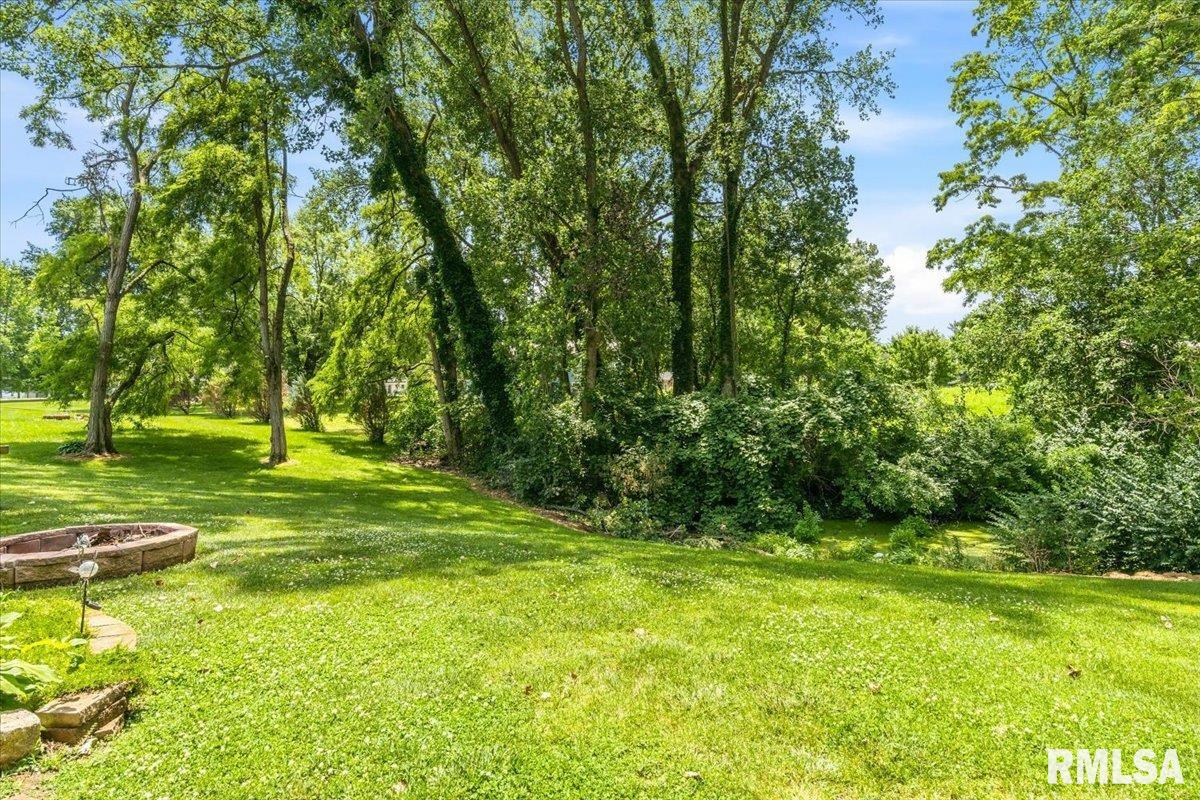 23751 Homestead Lane Athens, IL 62613 - Photo 46 of 54 Gallery Image 46