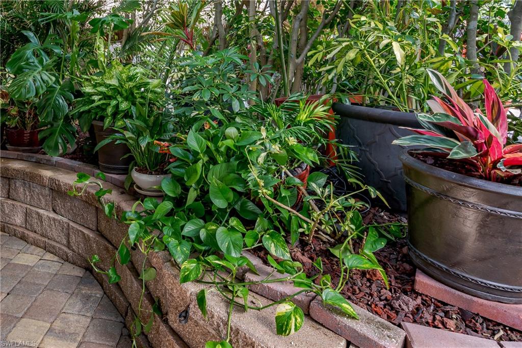 13446 Ladyfish Lane Naples, FL 34114 - Photo 7 of 44 a view of a garden with plants and large trees