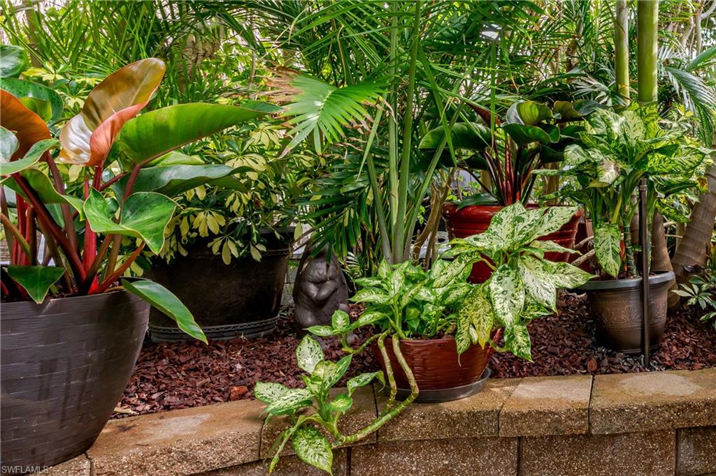 13446 Ladyfish Lane Naples, FL 34114 - Photo 8 of 44 a garden with a potted plant