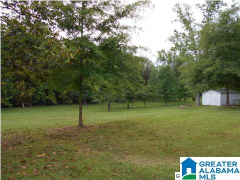 655 Wilson Chapel Road Oneonta, AL 35121 - Photo 3 of 10
