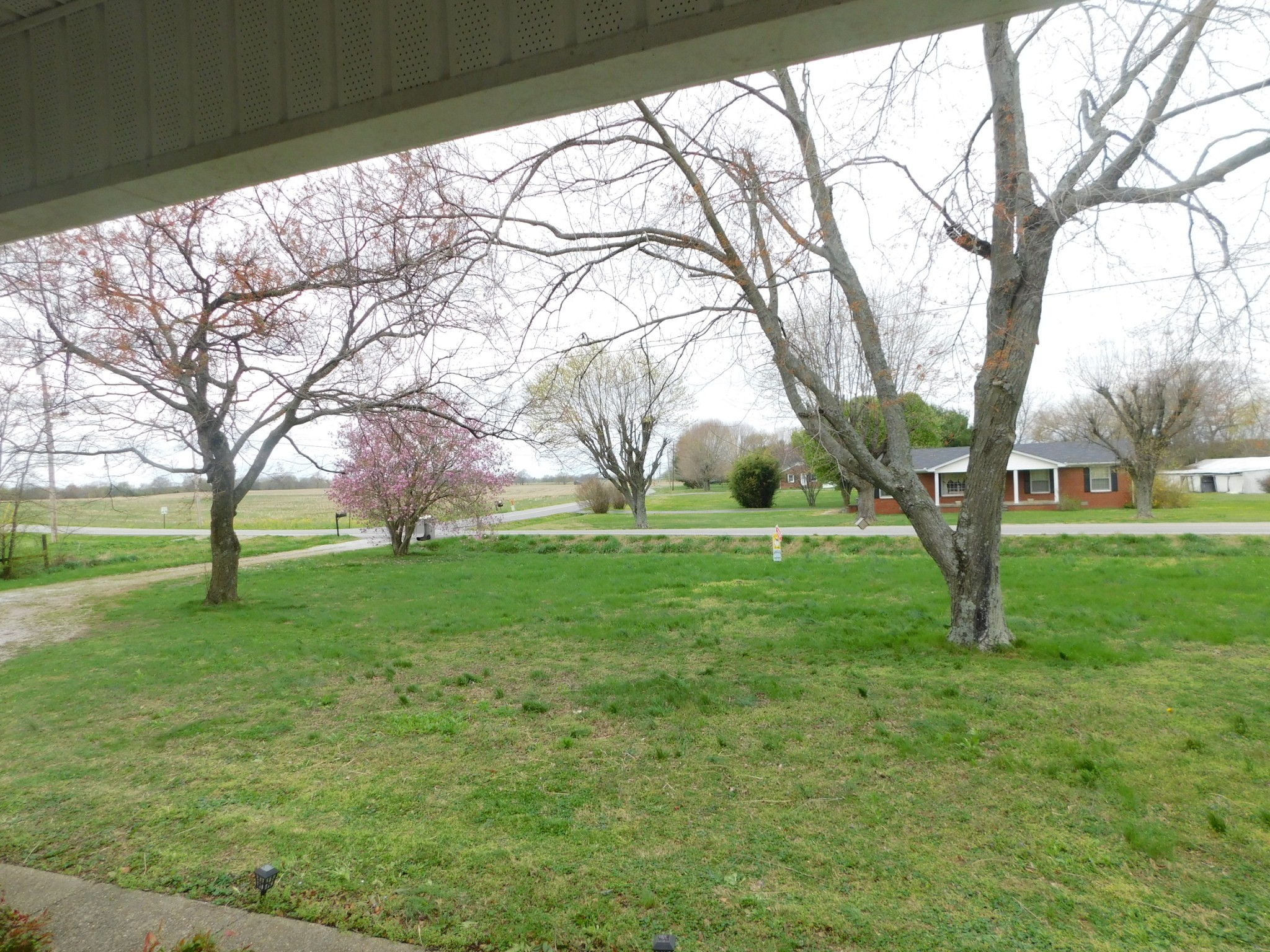 599 Jackson Road Portland, TN 37148 - Photo 3 of 39 a huge green field with lots of trees