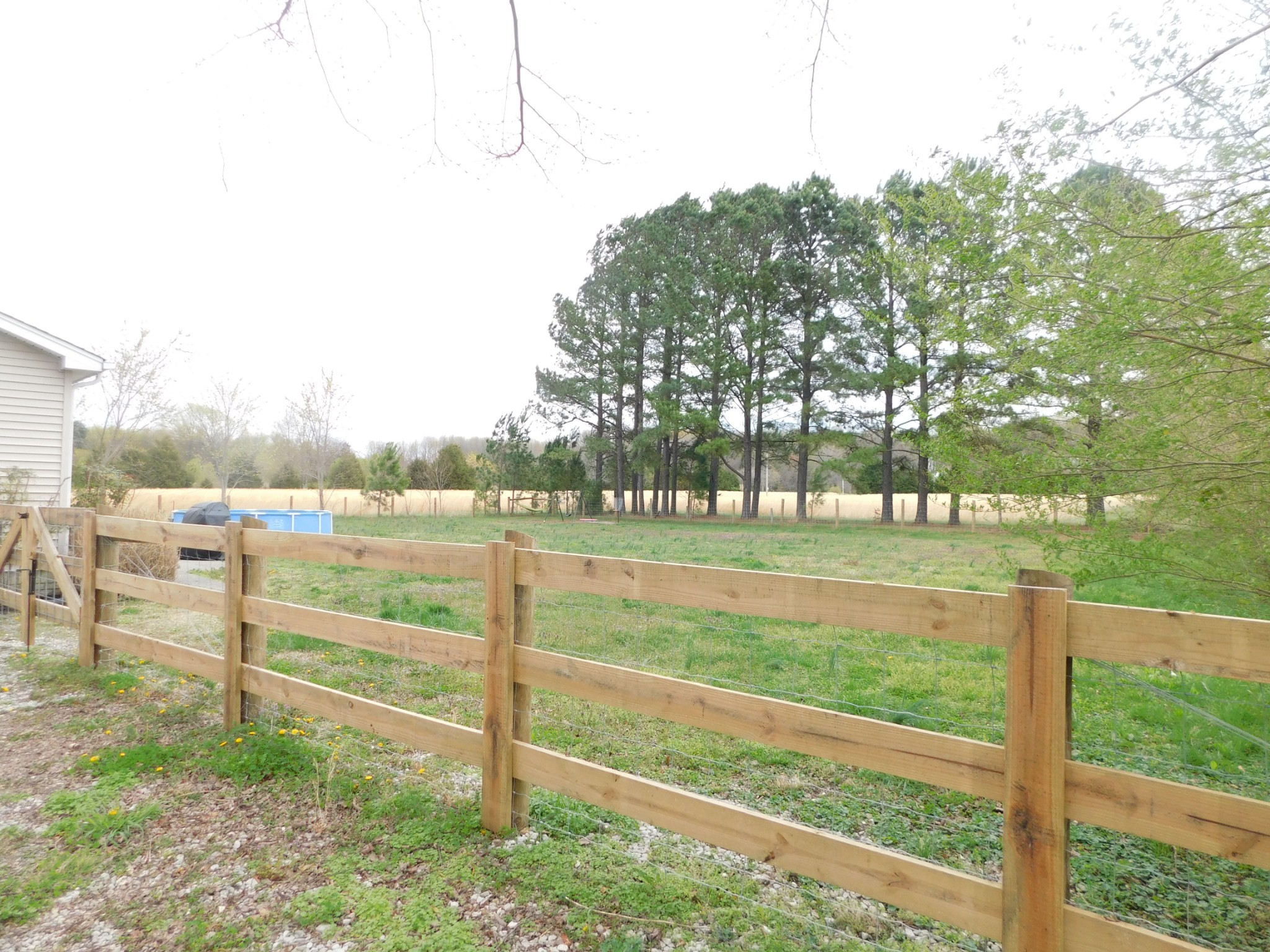 599 Jackson Road Portland, TN 37148 - Photo 33 of 39 a view of a park