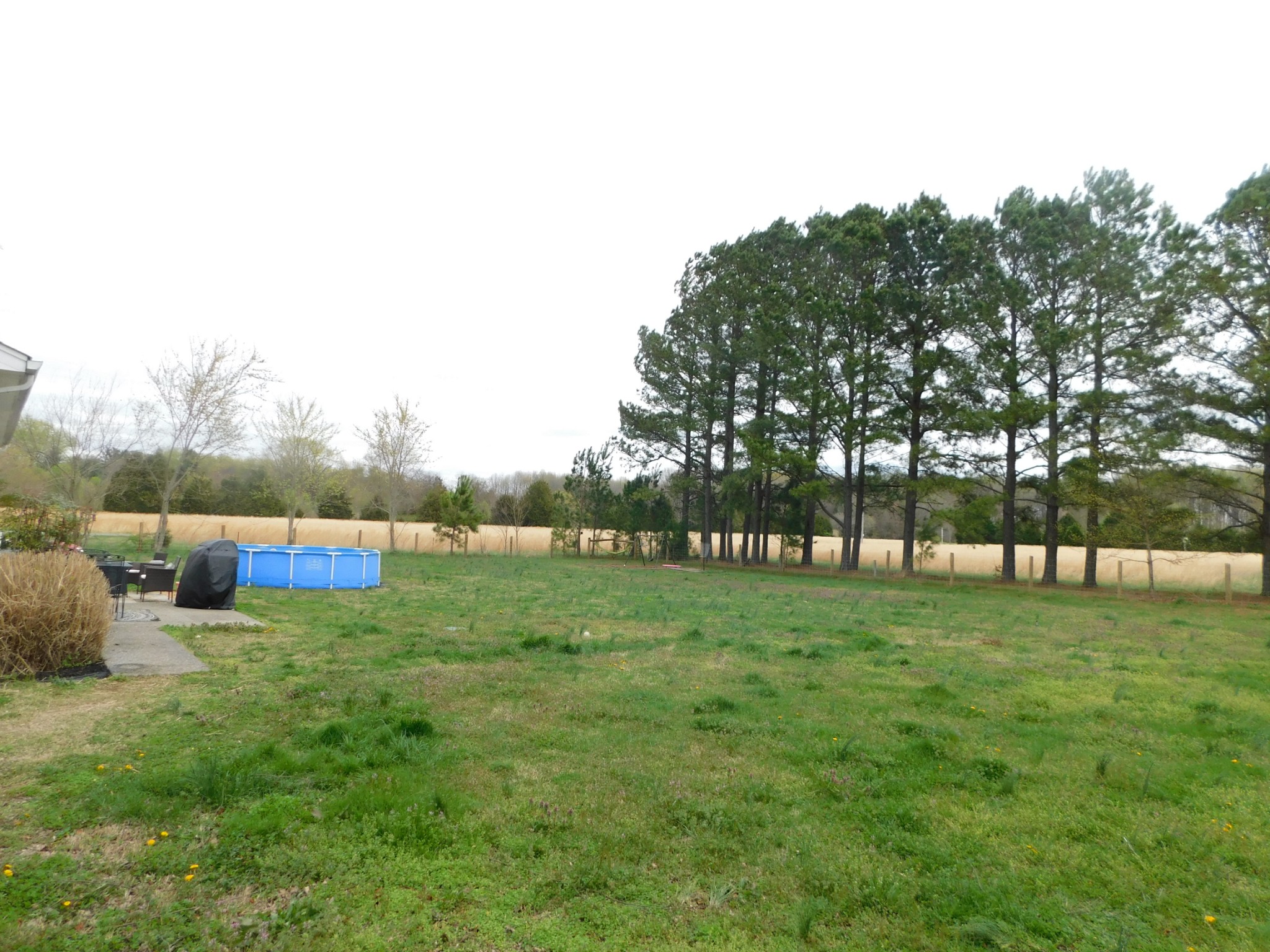 599 Jackson Road Portland, TN 37148 - Photo 35 of 39 a view of yard with green space