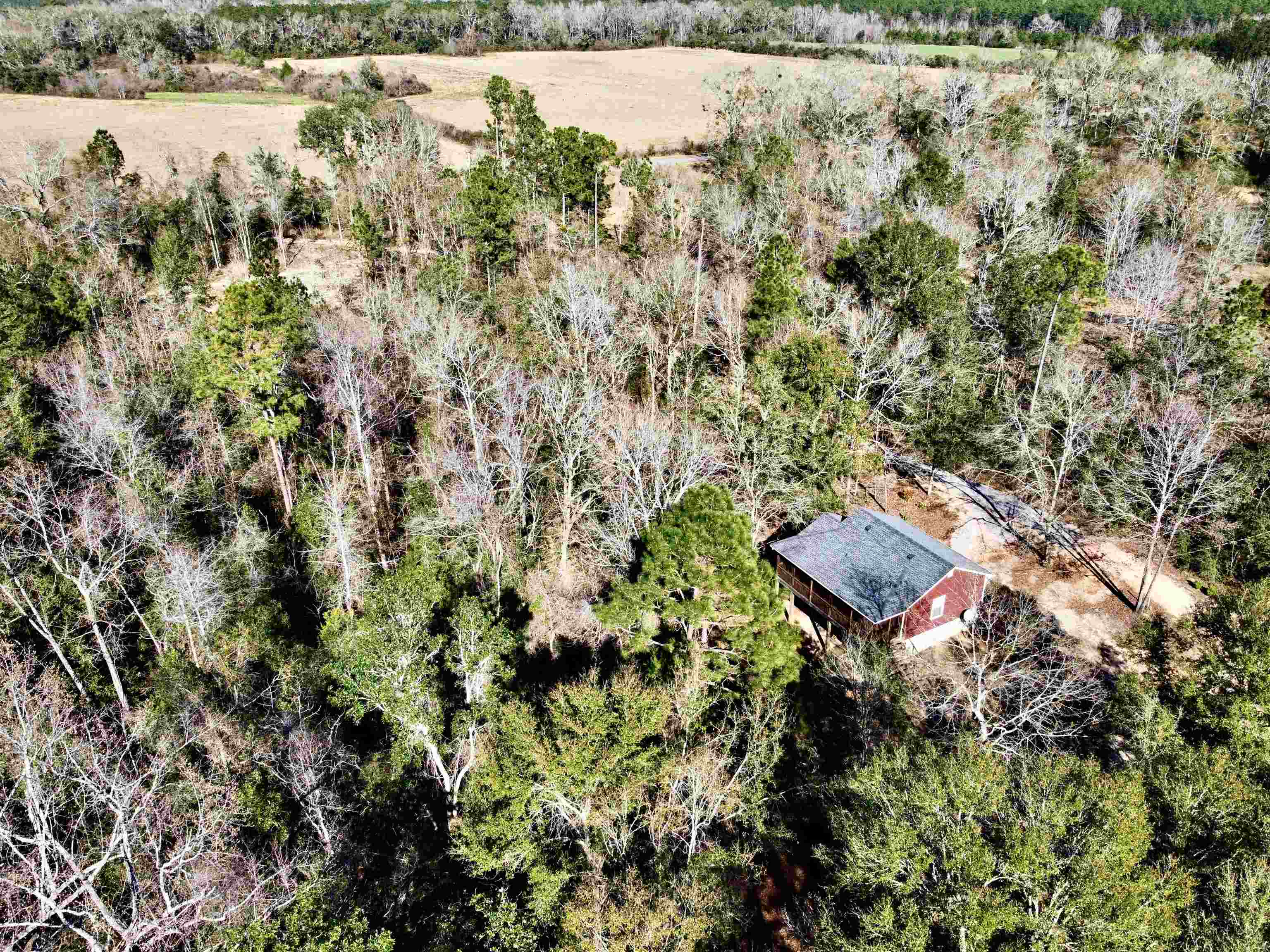 9640 Green Jordan Road Bay Minette, AL 36507 - Photo 2 of 32