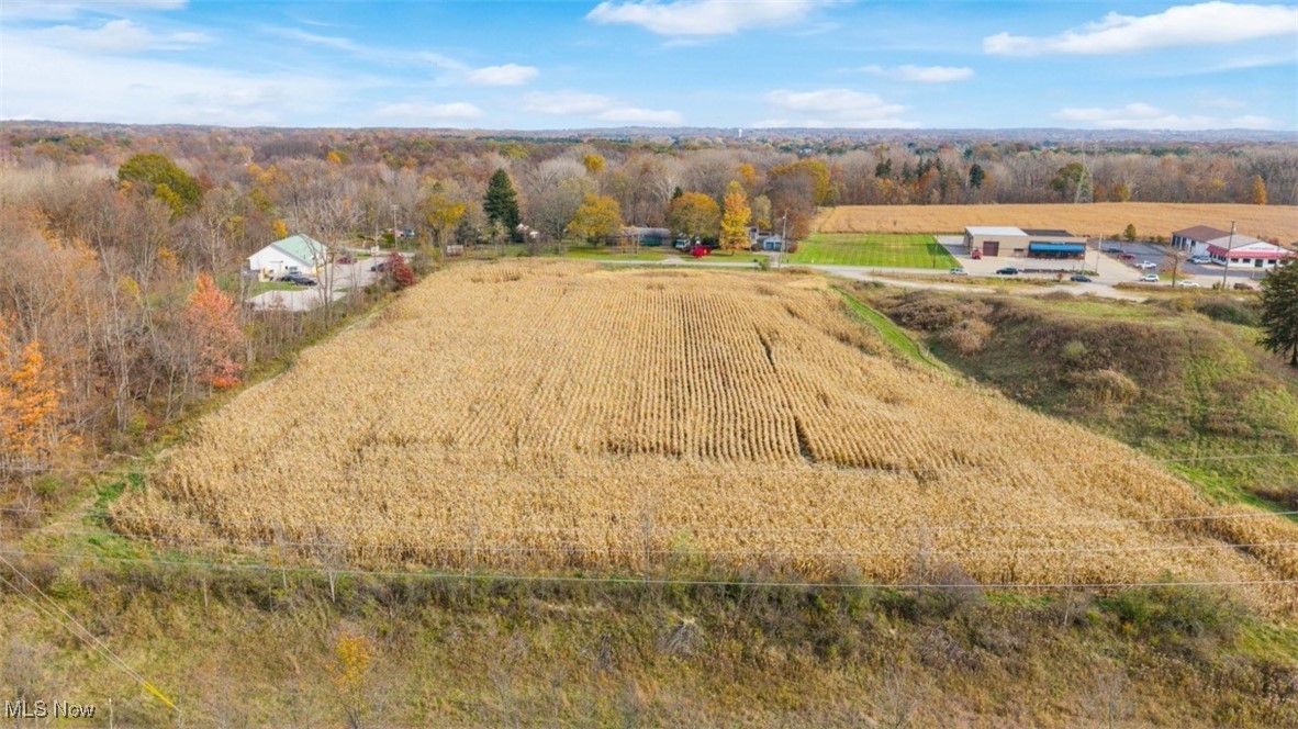 3652 Pearl Road Medina, OH 44256 - Photo 19 of 38 Birds eye view of property with a rural view