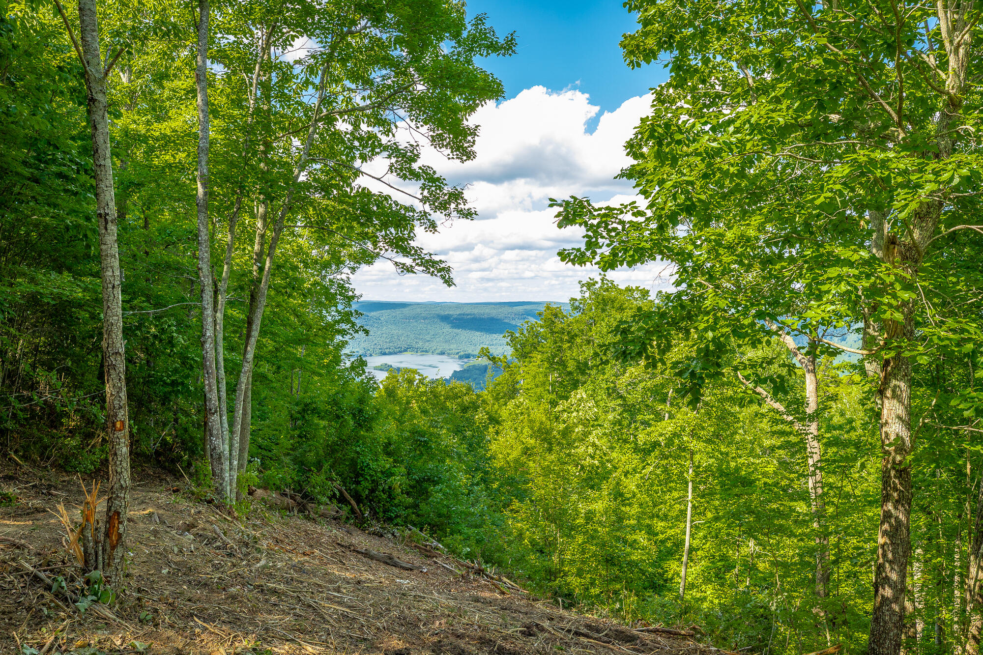 0 Back Basin Trail, Unit LOT 1244 Chattanooga, TN 37419 - Photo 14 of 119 MCW Correction HD-15