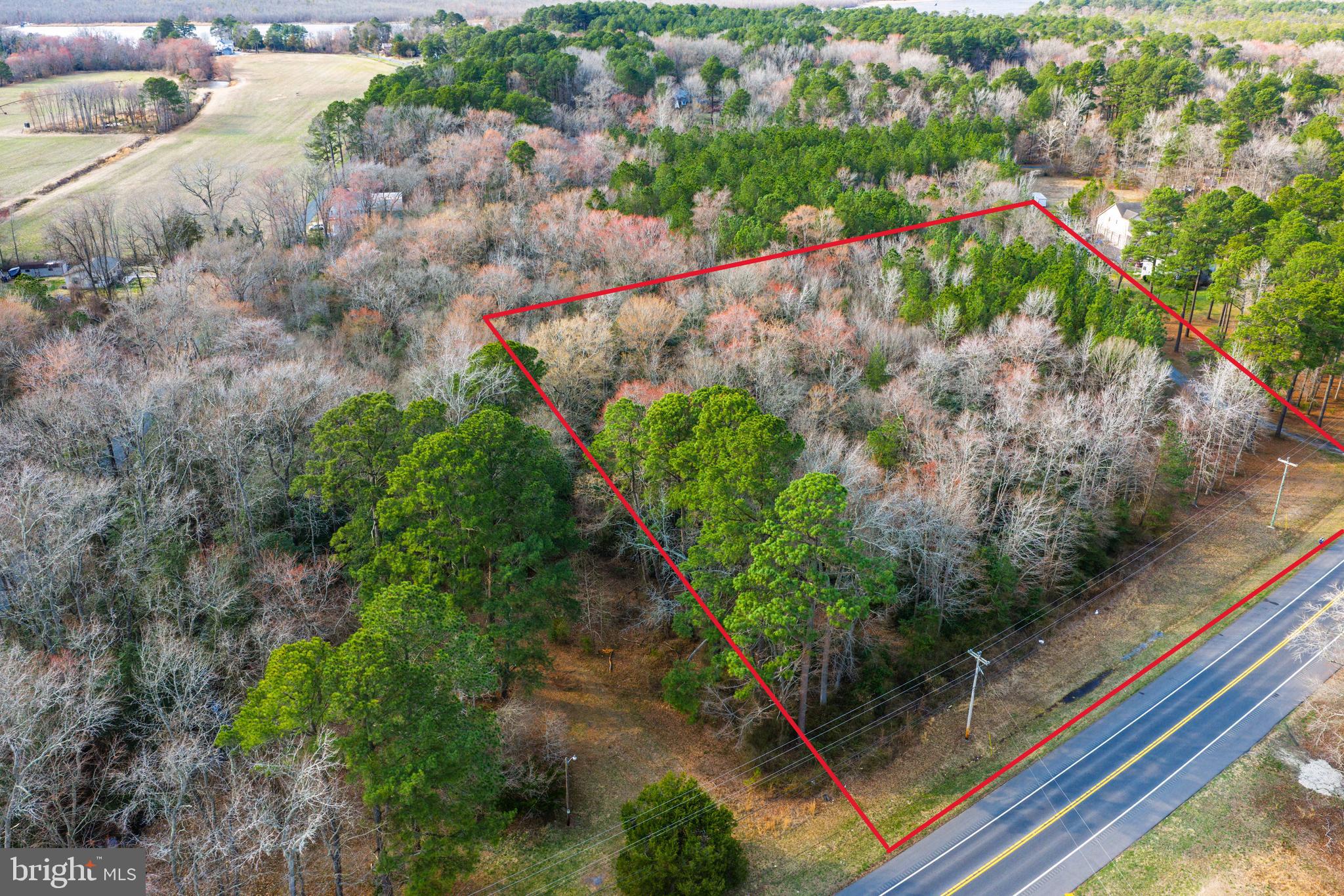 0 Sharptown Road Mardela Springs, MD 21837 - Photo 3 of 8 Boundaries drawn only for reference