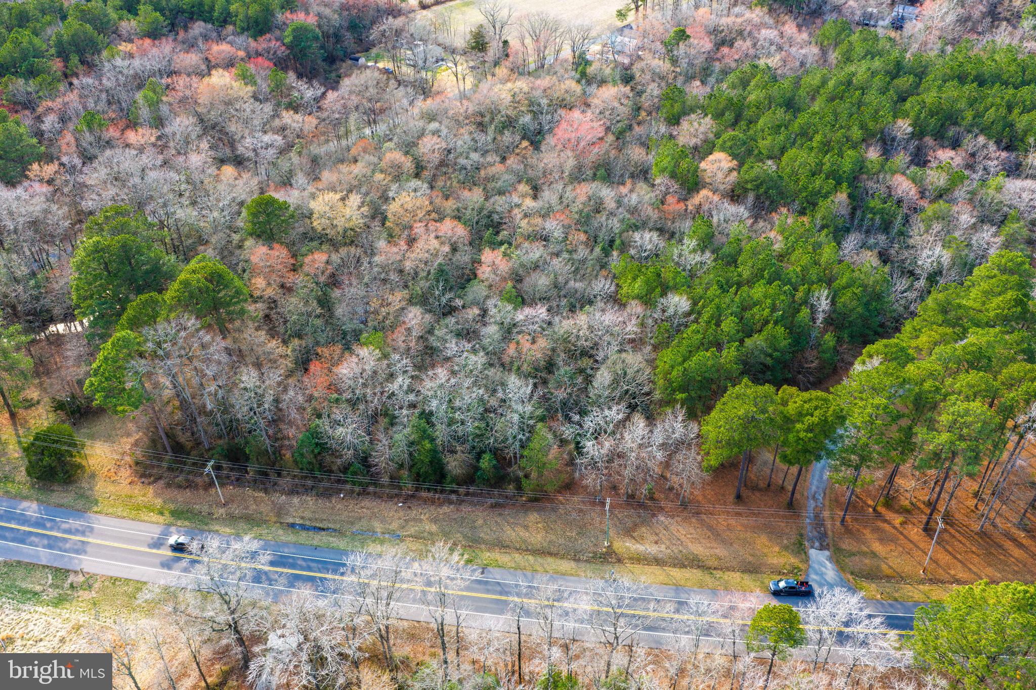 0 Sharptown Road Mardela Springs, MD 21837 - Photo 6 of 8