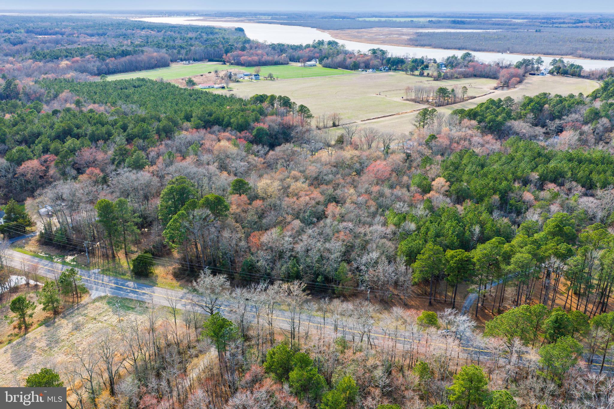 0 Sharptown Road Mardela Springs, MD 21837 - Photo 7 of 8