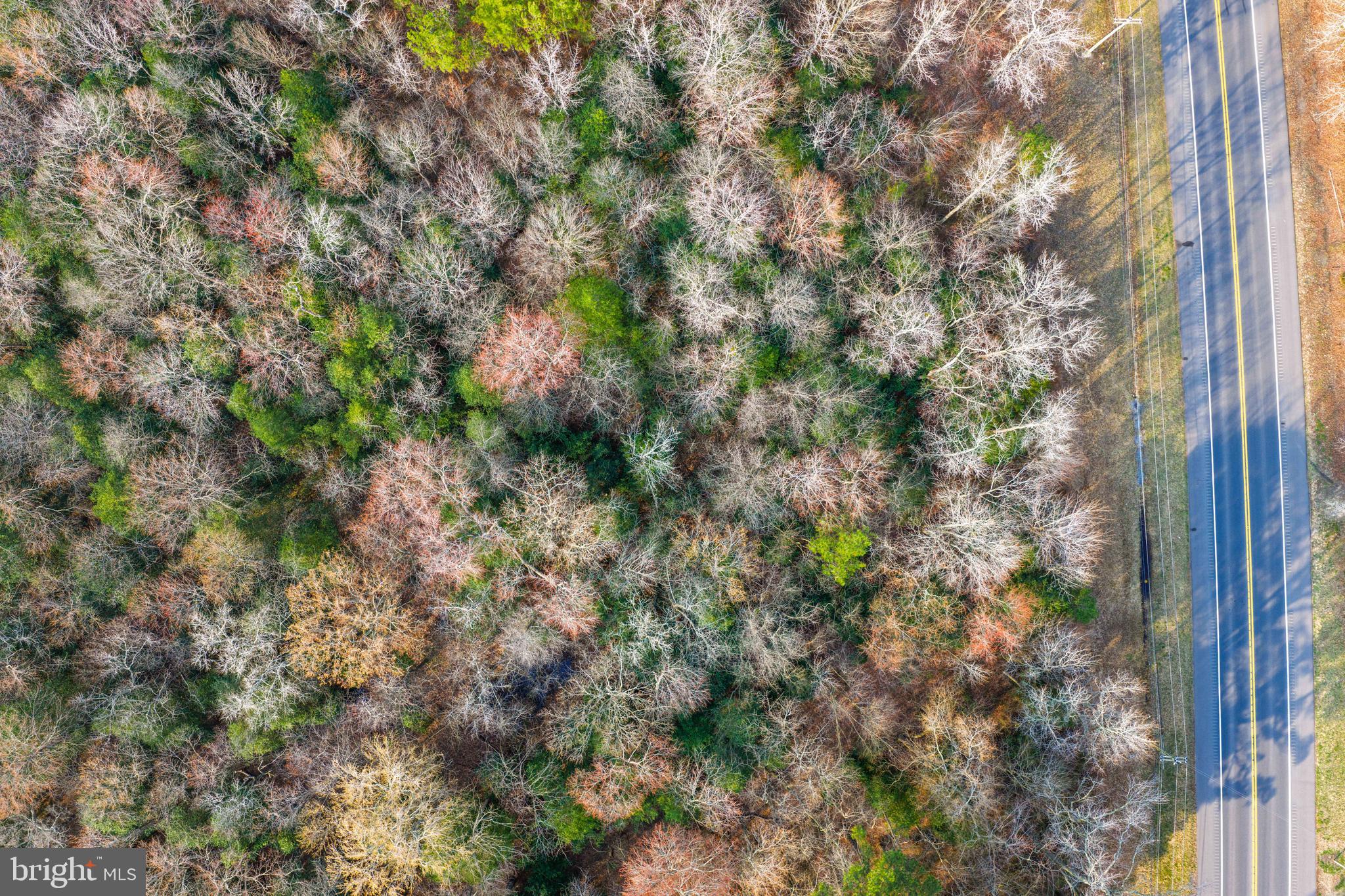 0 Sharptown Road Mardela Springs, MD 21837 - Photo 8 of 8