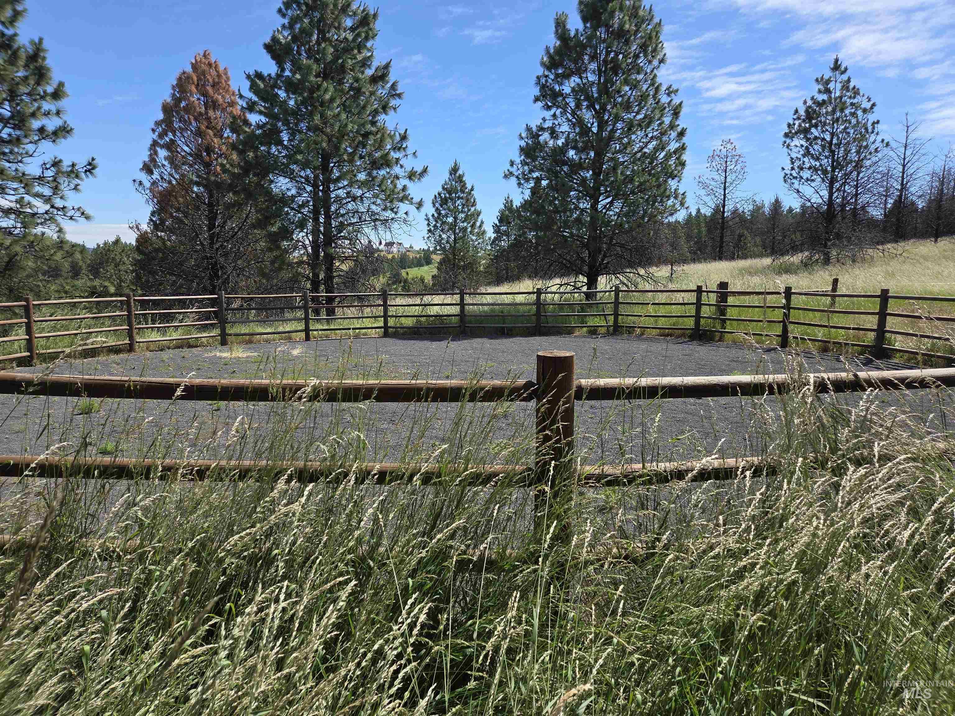 1085 Wallen Road Moscow, ID 83843 - Photo 45 of 50 Gravel-surfaced circular area enclosed by a rustic wooden fence, surrounded by tall grasses and mature pine trees under a clear sky
