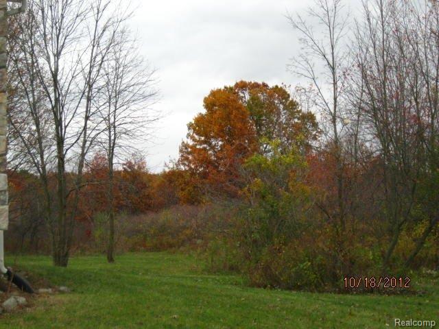80550 Scotch Settlement Road Romeo, MI 48065 - Photo 2 of 11 IMG_0043.JPG