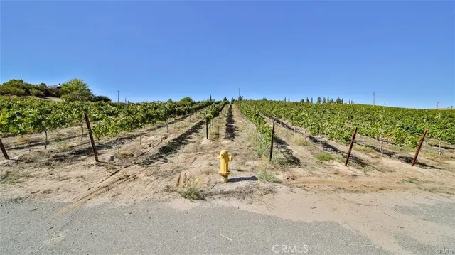 a view of a dry yard with wooden fence