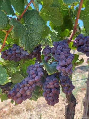 a view of a road with an ocean view