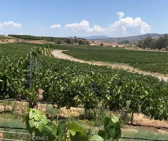 a view of lake with green space