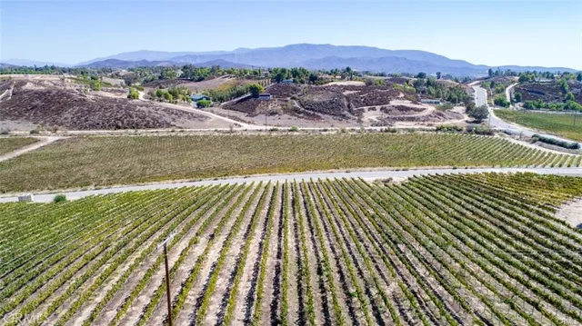 an aerial view of residential houses with outdoor space and river