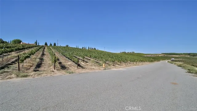 a close up of a flower pot with a mirror