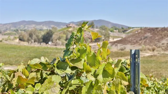 a view of a road with an ocean view