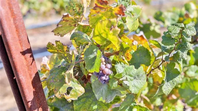 a view of a road with an ocean view