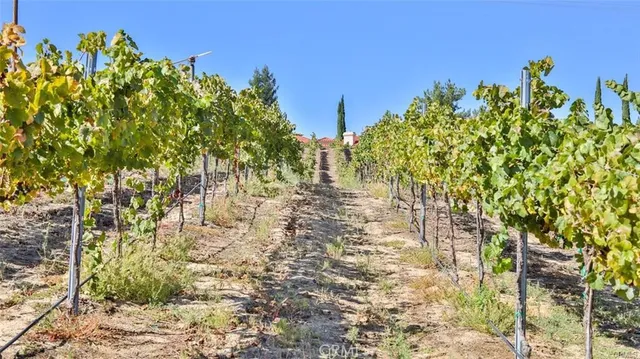 a view of outdoor space