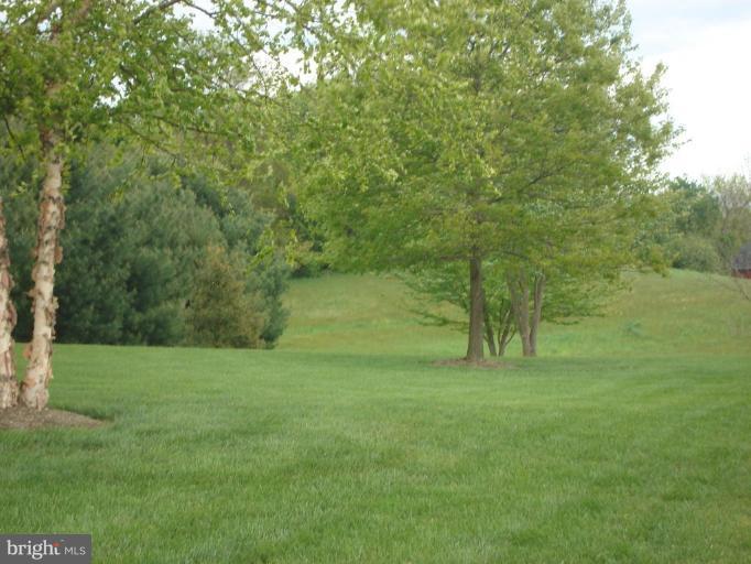 3970 Prospect Road Street, MD 21154 - Photo 26 of 29 Back yard