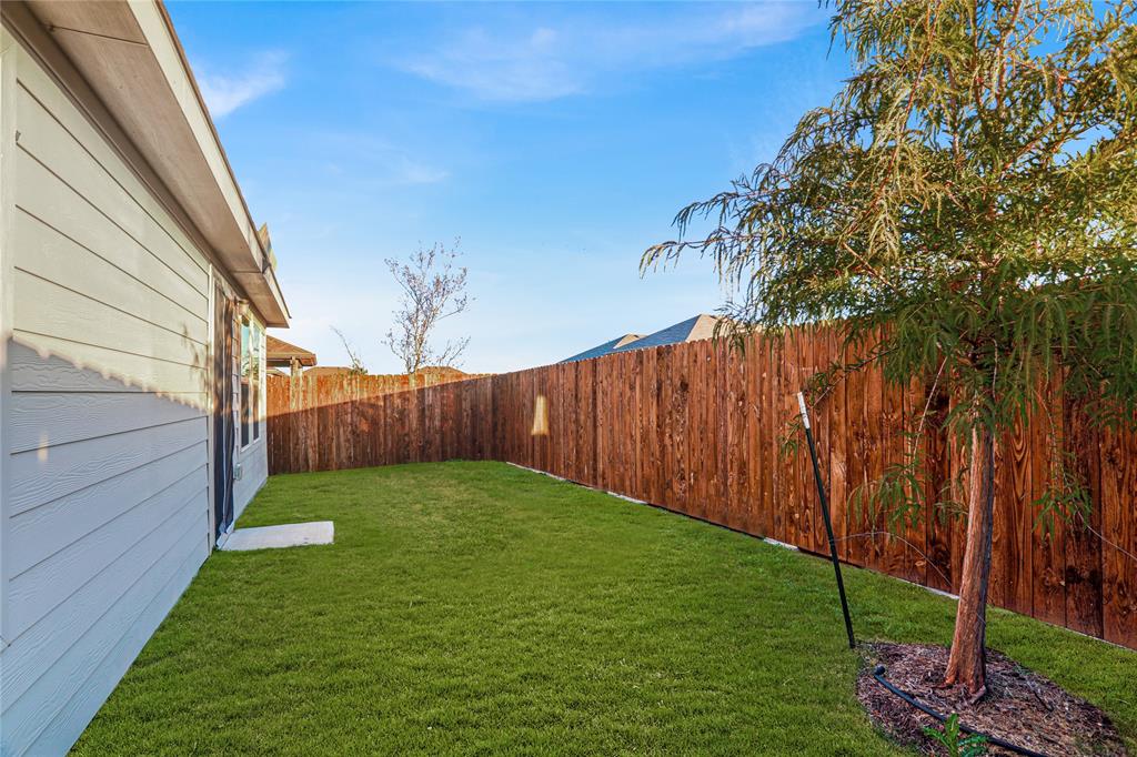 14048 Earlham Street Pilot Point, TX 76258 - Photo 15 of 15 a view of a backyard with potted plants