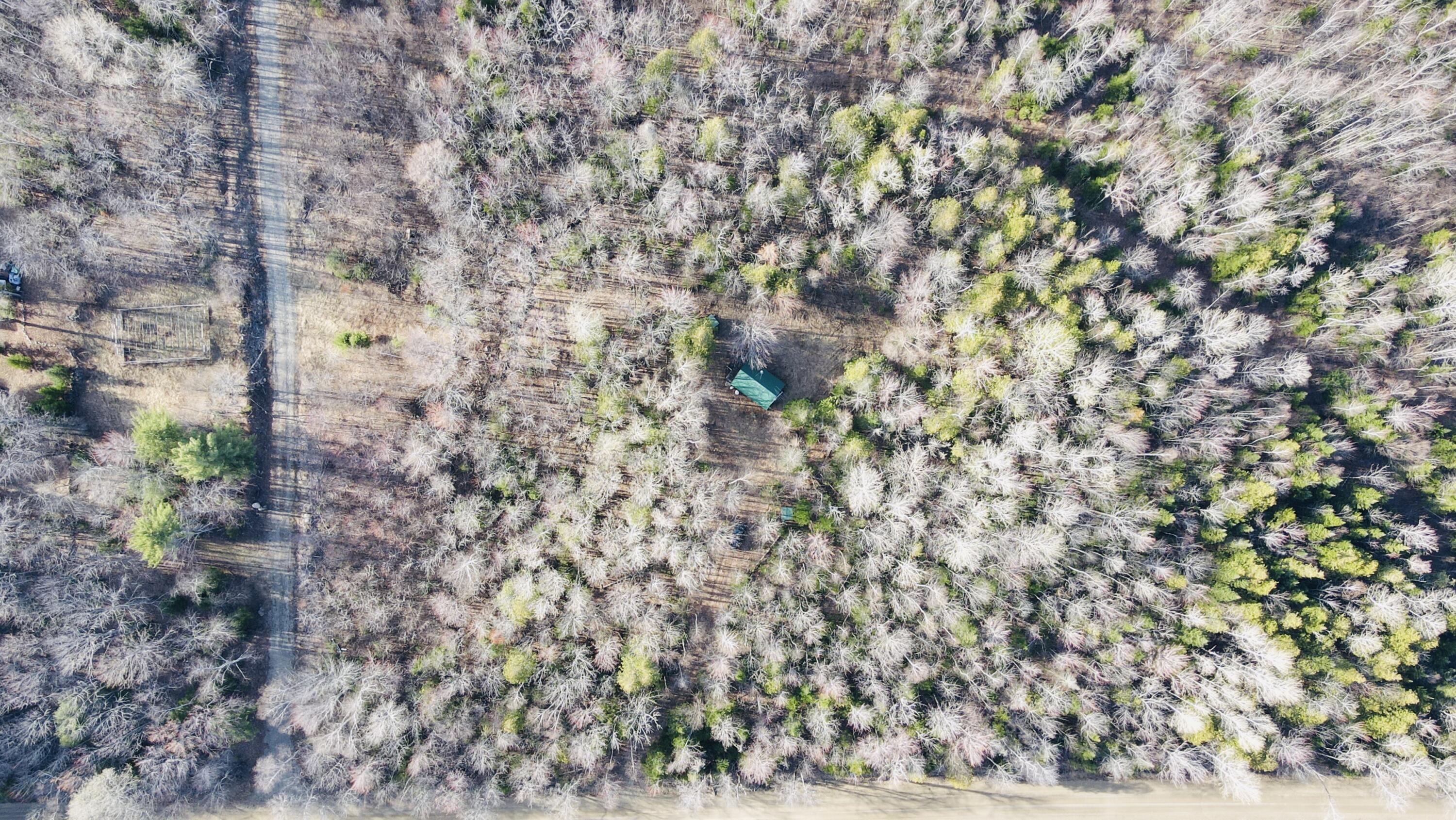 488 Cook Hill Road Strong, ME 04983 - Photo 10 of 27