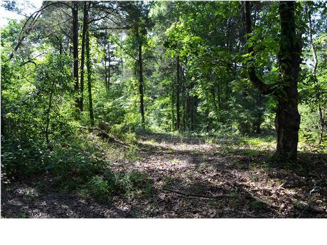 0 Old Stage Road Soddy Daisy, TN 37379 - Photo 1 of 19 Primary Photo