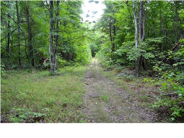 0 Old Stage Road Soddy Daisy, TN 37379 - Photo 11 of 19 Additional Photo