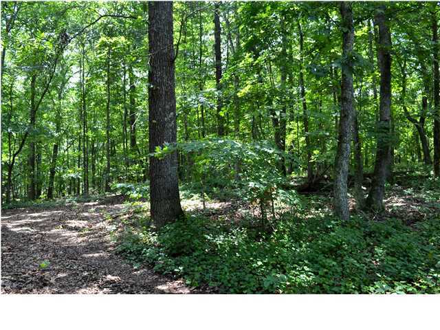 0 Old Stage Road Soddy Daisy, TN 37379 - Photo 12 of 19 Additional Photo
