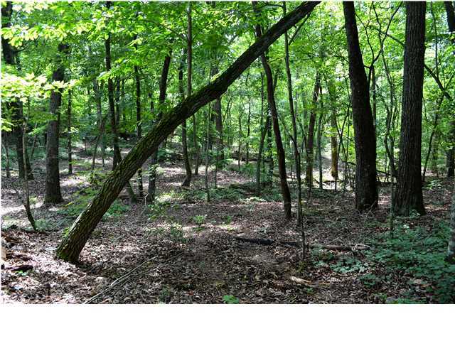 0 Old Stage Road Soddy Daisy, TN 37379 - Photo 13 of 19 Additional Photo