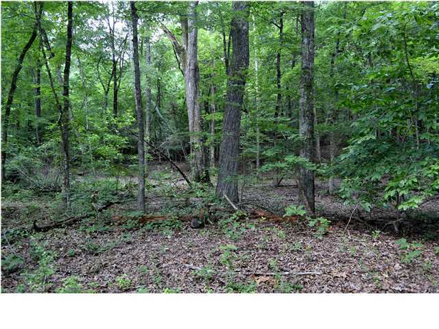 0 Old Stage Road Soddy Daisy, TN 37379 - Photo 15 of 19 Additional Photo