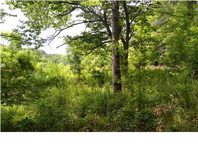 0 Old Stage Road Soddy Daisy, TN 37379 - Photo 18 of 19 Additional Photo