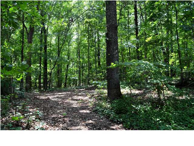 0 Old Stage Road Soddy Daisy, TN 37379 - Photo 2 of 19 Additional Photo
