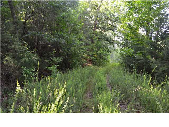 0 Old Stage Road Soddy Daisy, TN 37379 - Photo 3 of 19 Additional Photo