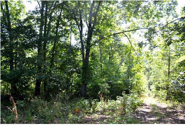 0 Old Stage Road Soddy Daisy, TN 37379 - Photo 4 of 19 Additional Photo