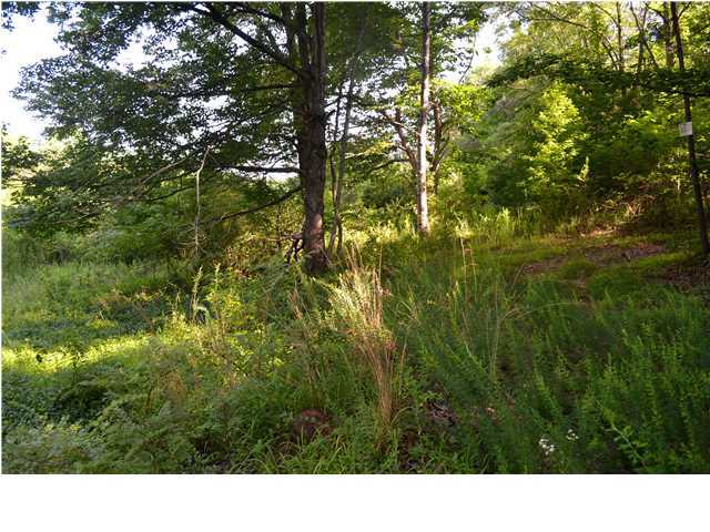 0 Old Stage Road Soddy Daisy, TN 37379 - Photo 5 of 19 Additional Photo