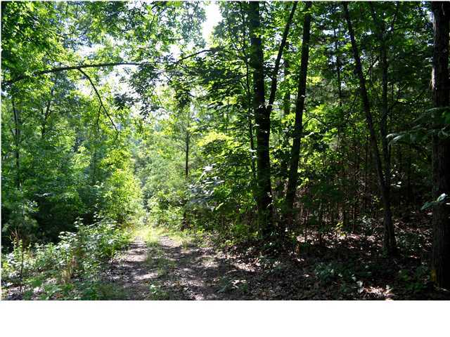 0 Old Stage Road Soddy Daisy, TN 37379 - Photo 6 of 19 Additional Photo