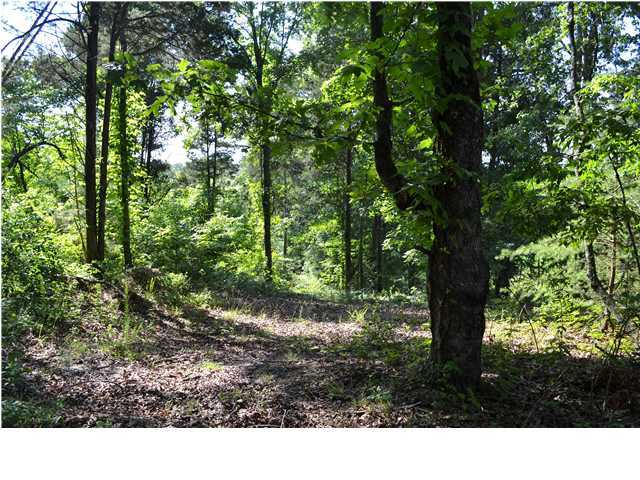 0 Old Stage Road Soddy Daisy, TN 37379 - Photo 7 of 19 Additional Photo