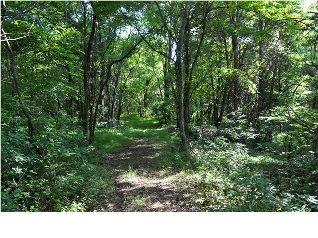 0 Old Stage Road Soddy Daisy, TN 37379 - Photo 8 of 19 Additional Photo