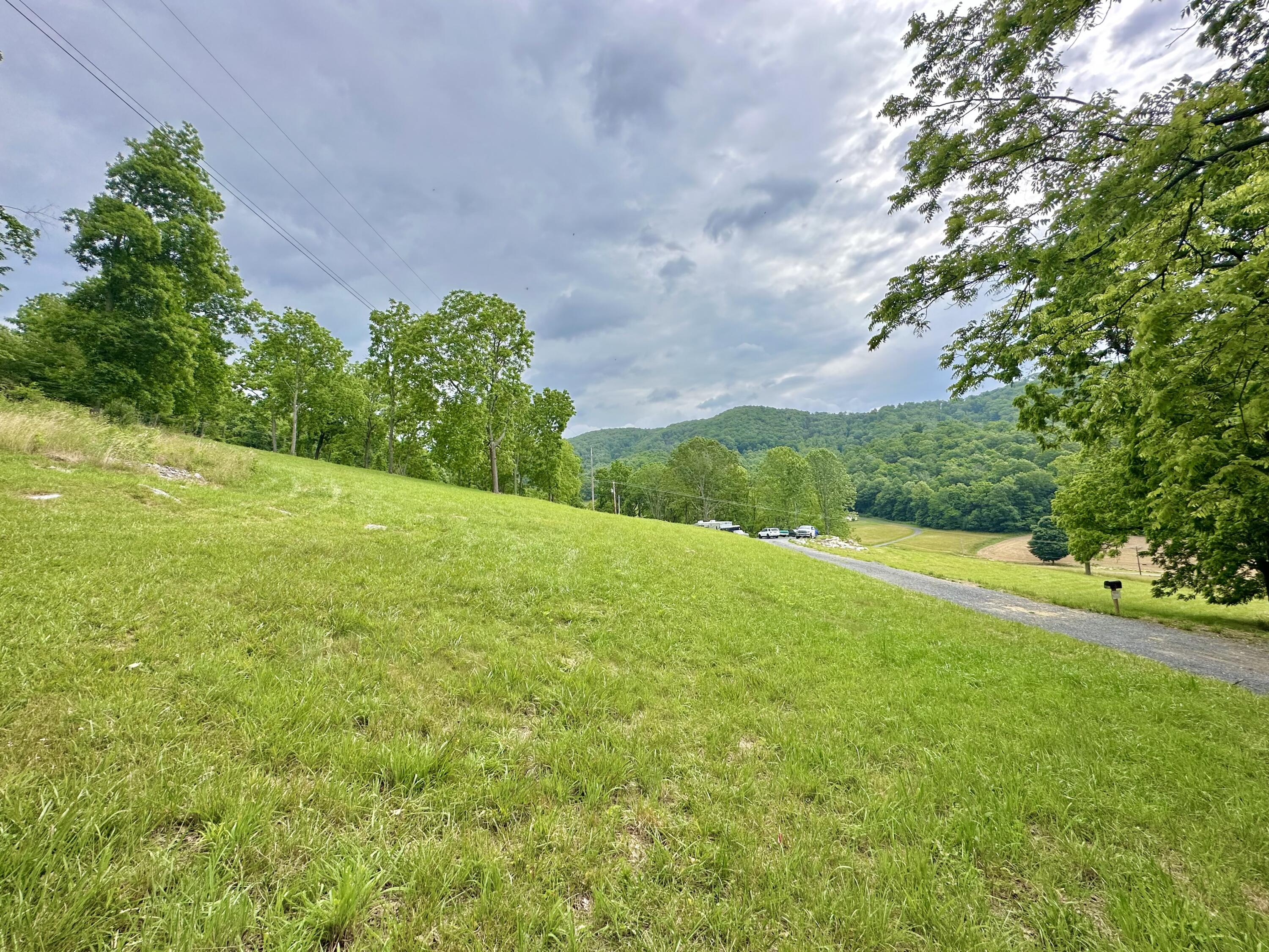 7506 Roaring Run Road Covington, VA 24426 - Photo 6 of 14 a view of a field with an tree