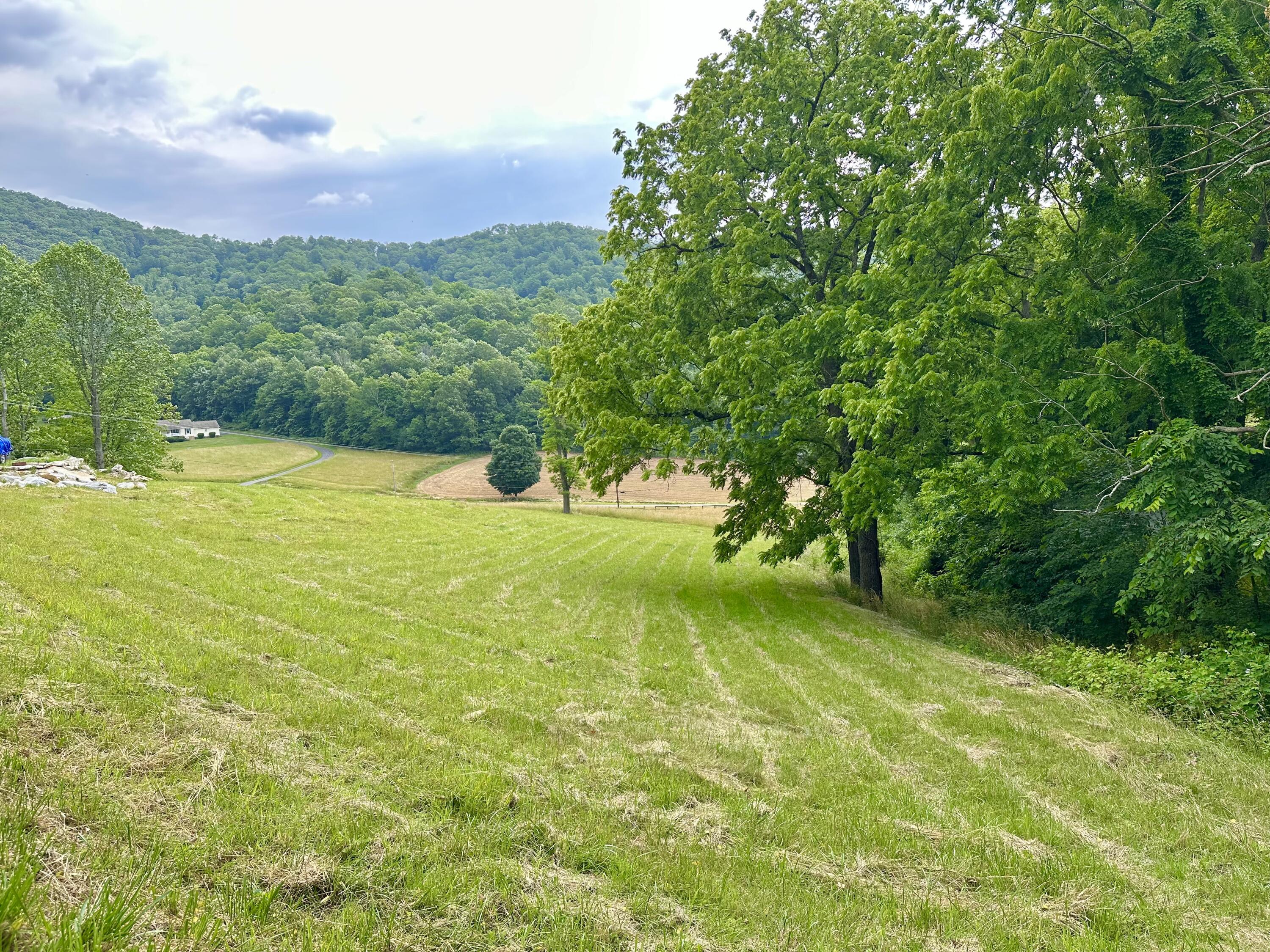7506 Roaring Run Road Covington, VA 24426 - Photo 7 of 14 a view of an ocean from a yard
