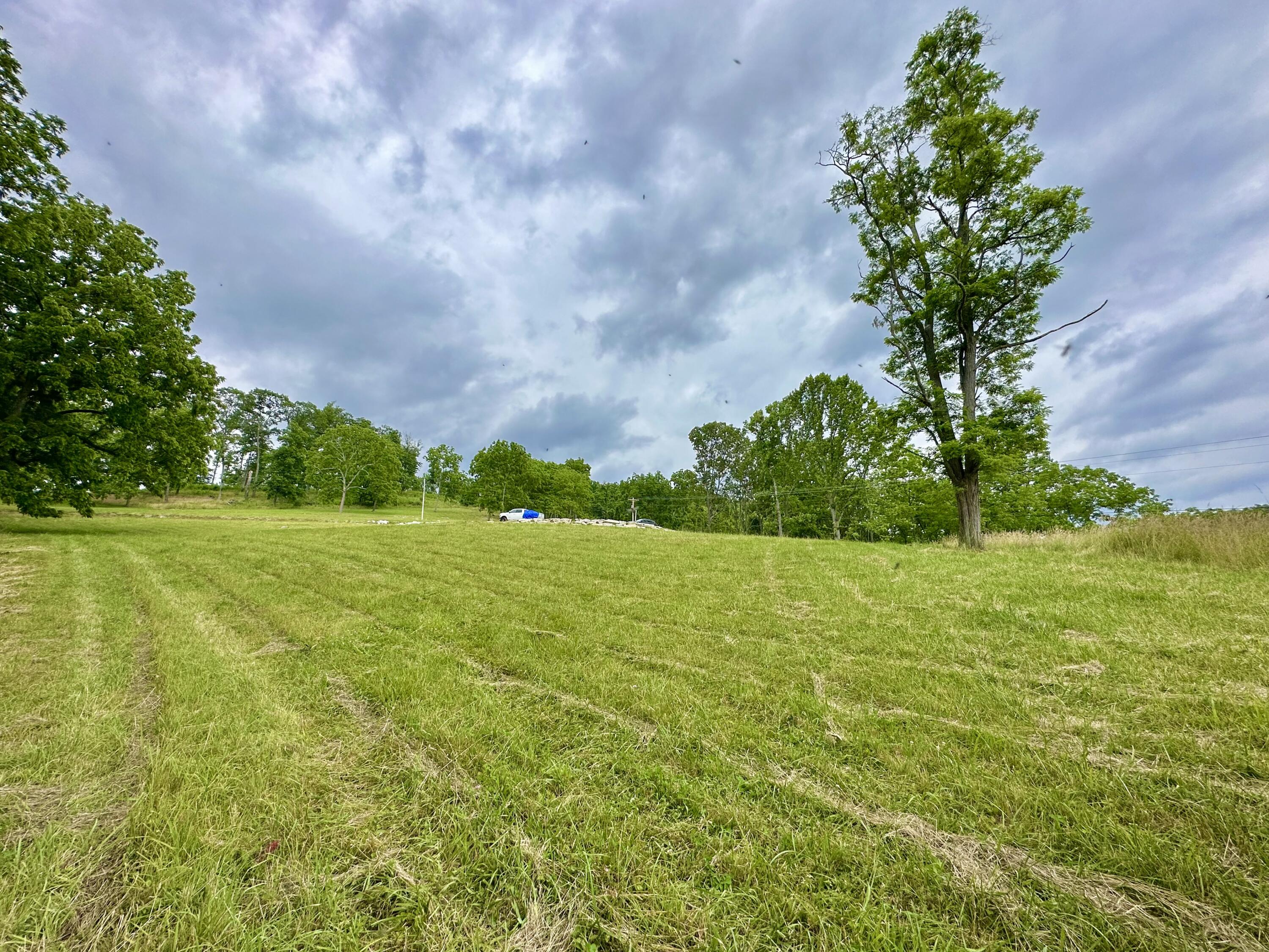 7506 Roaring Run Road Covington, VA 24426 - Photo 8 of 14 a view of a garden