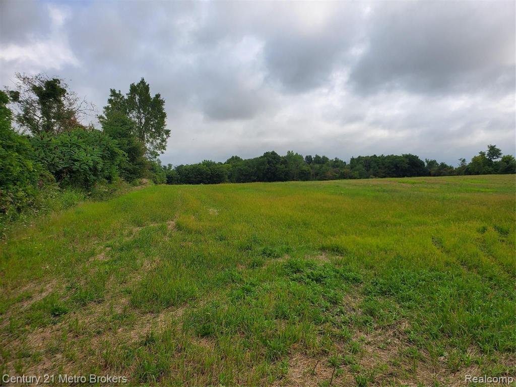 0 Castle Rd Branch North Branch, MI 48461 - Photo 2 of 9