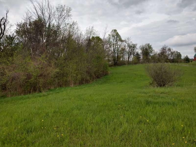 East Cloverdale Road Nashville, MI 49073 - Photo 9 of 9 IMG_20190509_190208428_HDR